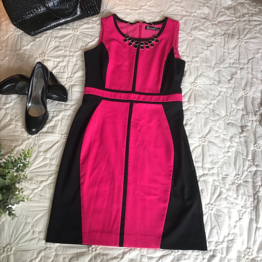 Bold and Beautiful New York and Co. Sheath Dress
